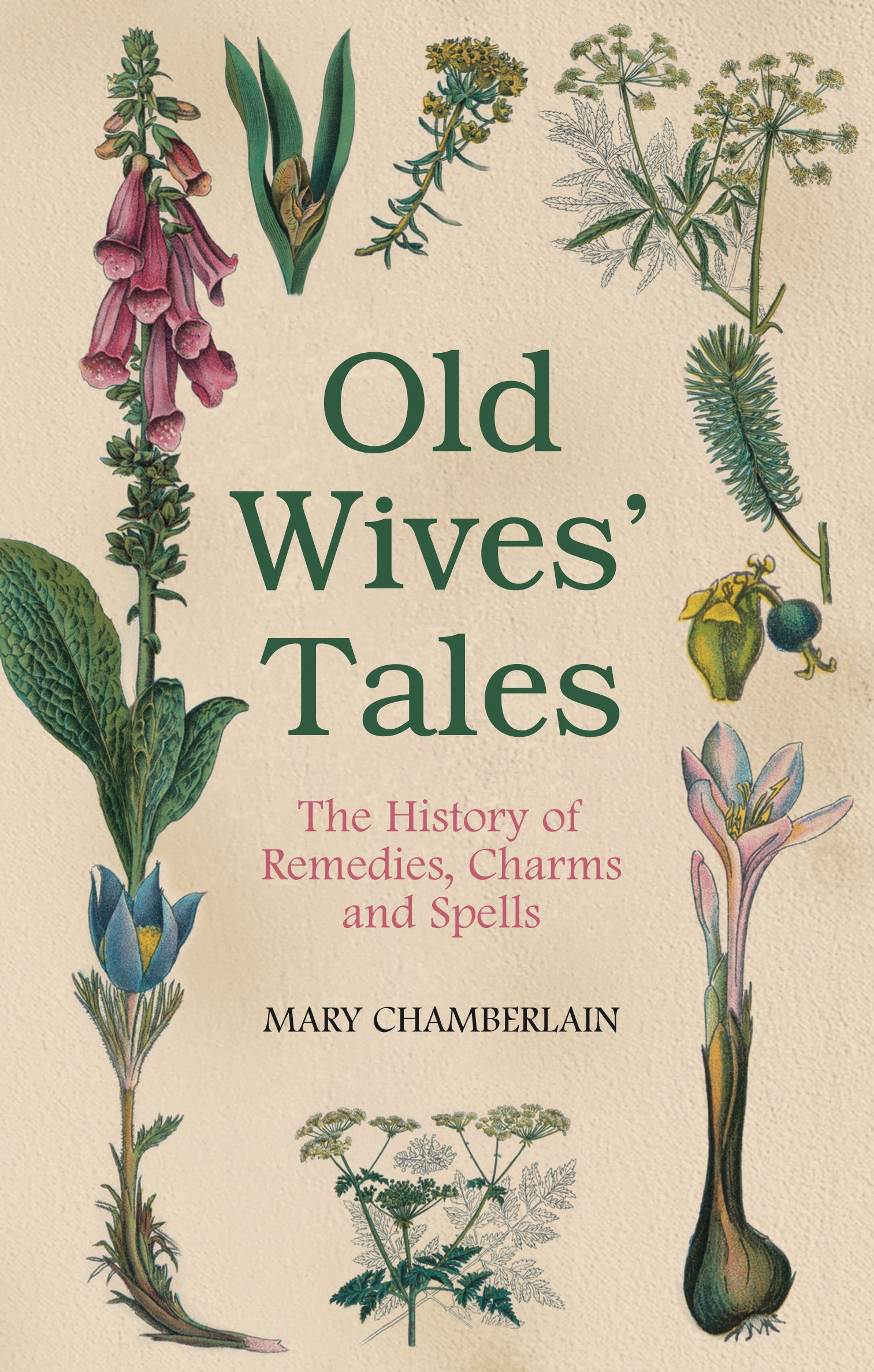 Old Wives' Tales By Mary Chamberlain 9780752458090 (Paperback)