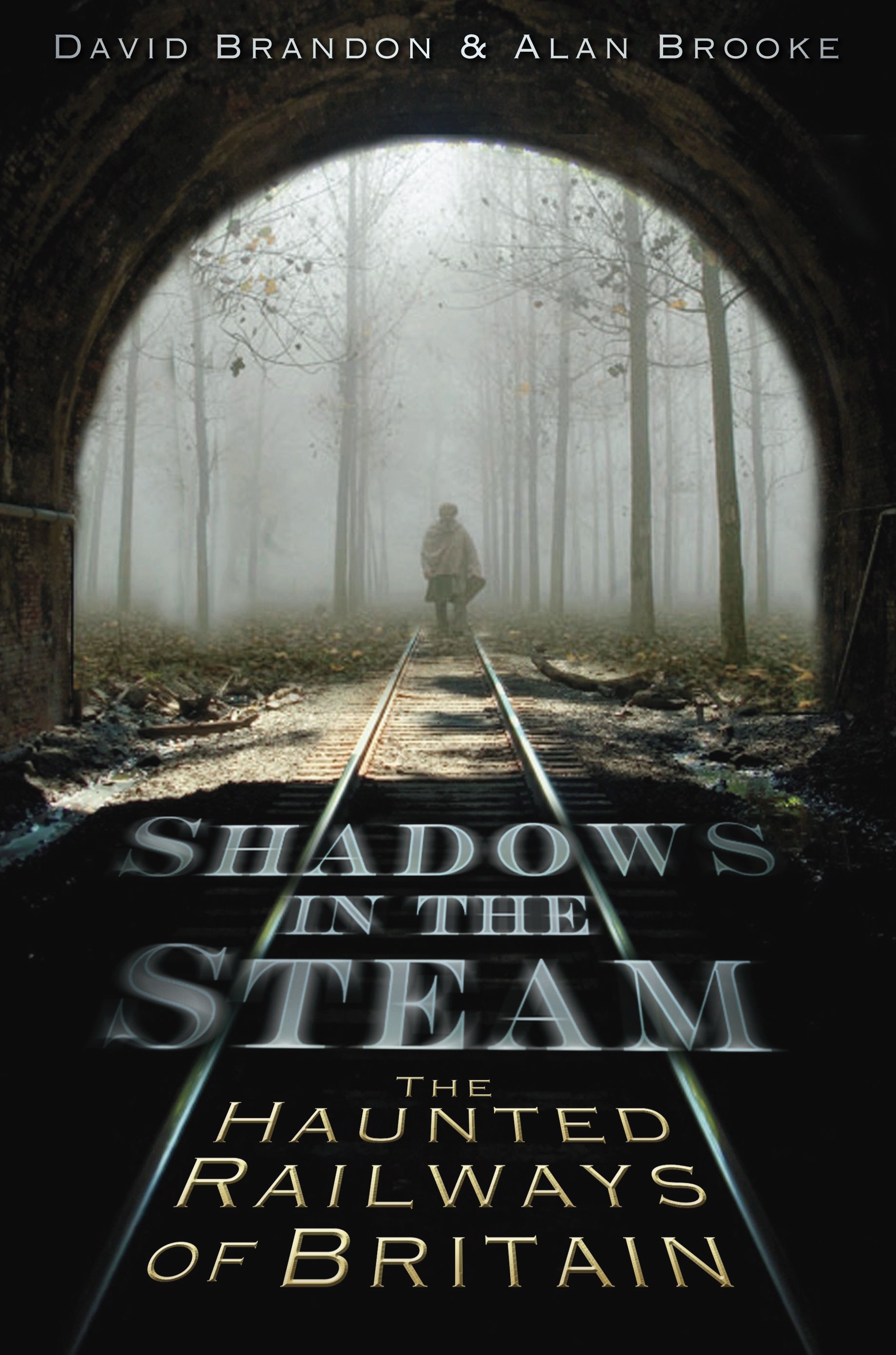 Shadows in the Steam By David Brandon 9780752461847 (Paperback)