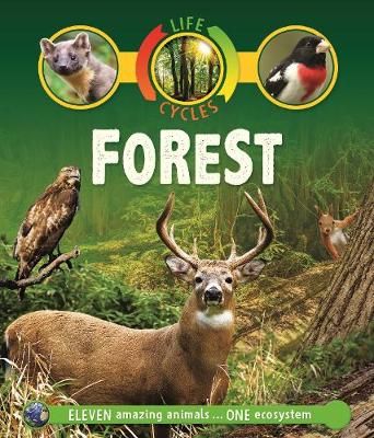 Life Cycles: Forest By Sean Callery 9780753442852 (Paperback)