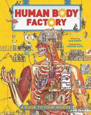 Human Body Factory By Dan Green (author), Edmond Davis (illustrator)