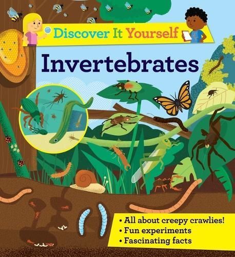 Discover It Yourself: Invertebrates 9780753477670 (Paperback)
