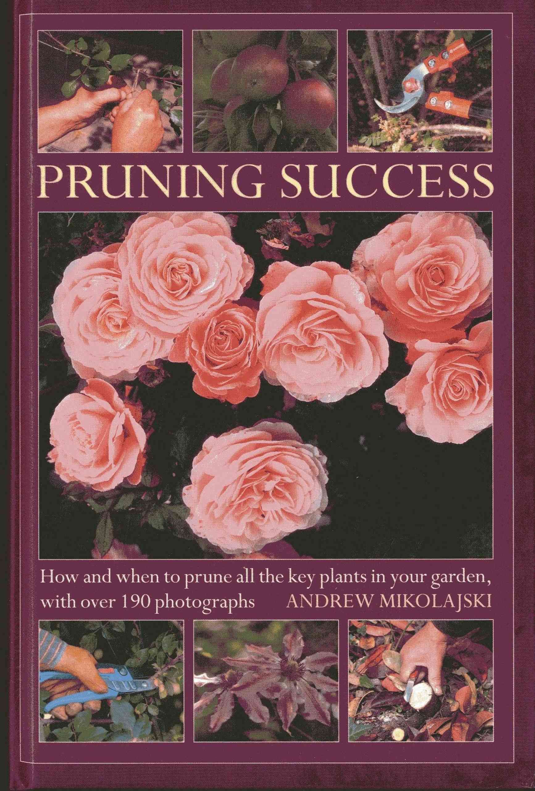 Pruning Success By Andrew Mikolajski 9780754826477 (Hardback)
