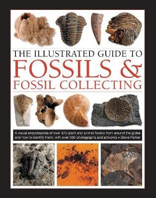 The Illustrated Guide to Fossils & Fossil Collecting By Steve Parker