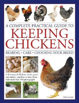 Keeping Chickens, A Complete Practical Guide to (Rearing, Care, Choosing Your Breed)
