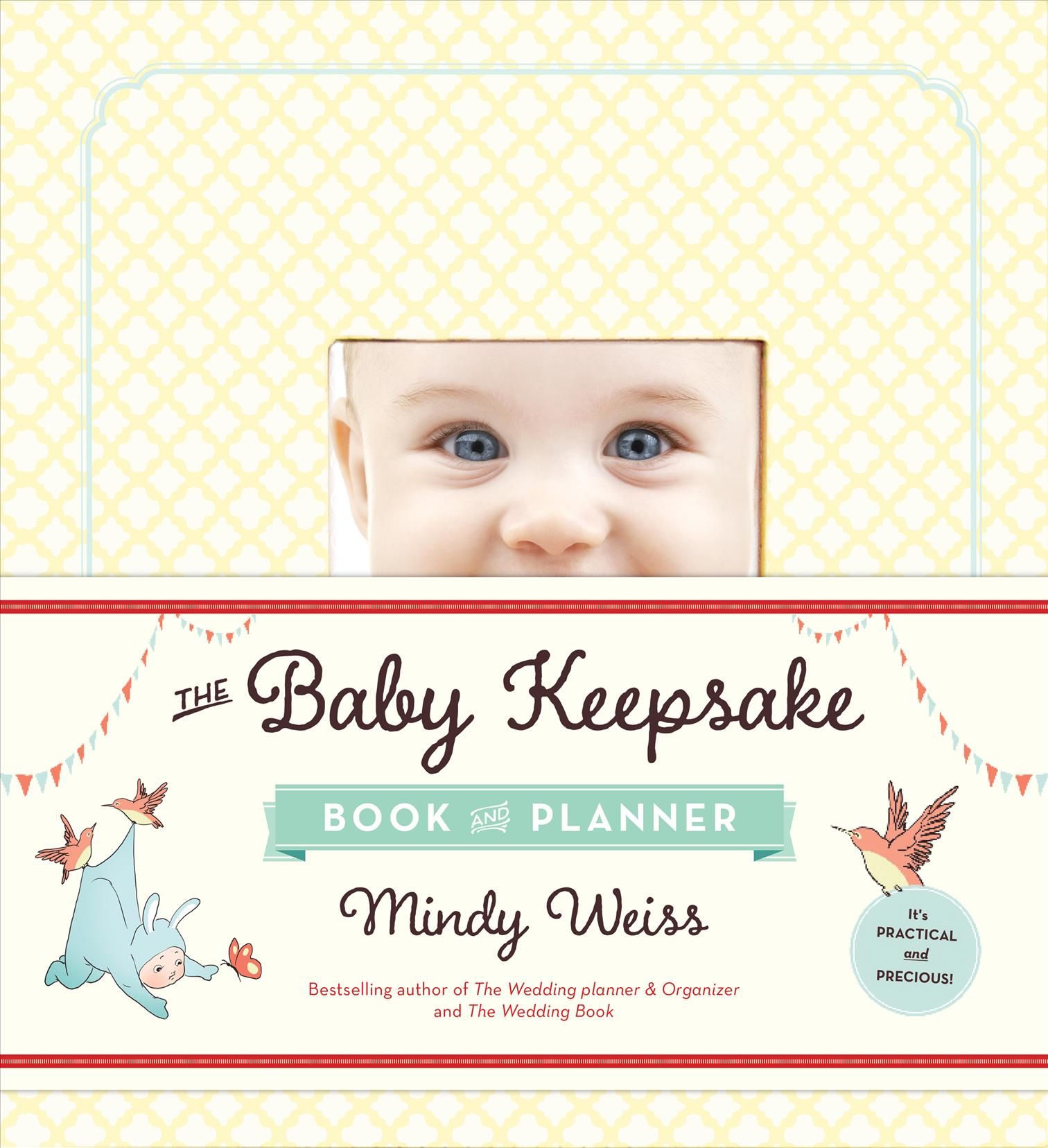 The Baby Keepsake Book and Planner By Mindy Weiss 9780761181712