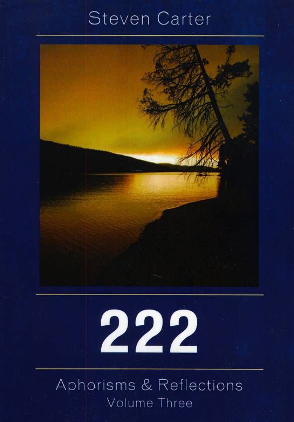 222 By Steven Carter 9780761841593 (Paperback)
