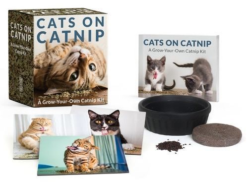 Cats on Catnip: A Grow-Your-Own Catnip Kit By Andrew Marttila