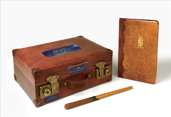 Fantastic Beasts: The Magizoologist's Discovery Case By Donald Lemke