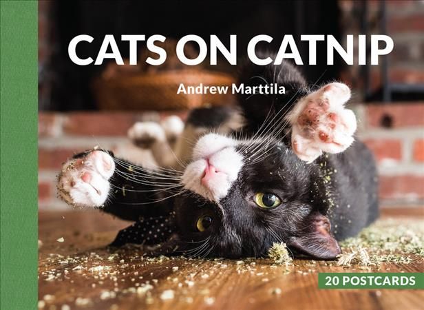Cats on Catnip By Andrew Marttila 9780762467280
