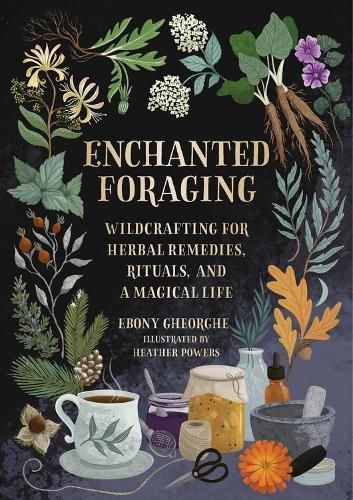 Enchanted Foraging 9780762484232 (Hardback)