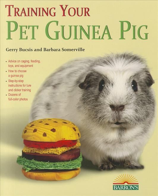 Training Your Pet Guinea Pig By Gerry Bucsis, Barbara Somerville