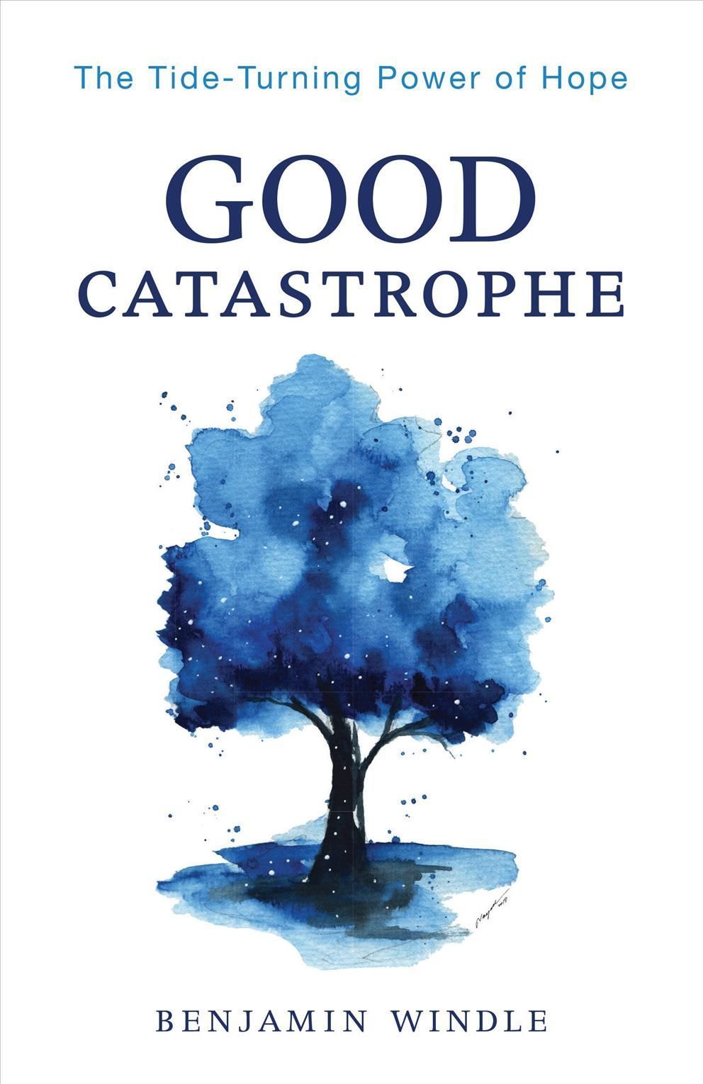 Good Catastrophe By Windle 9780764241635 (Hardback)