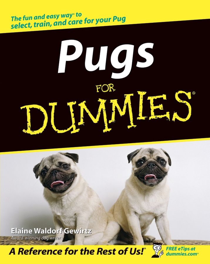 Pugs for Dummies By E Gewirtz 9780764540769 (Paperback)