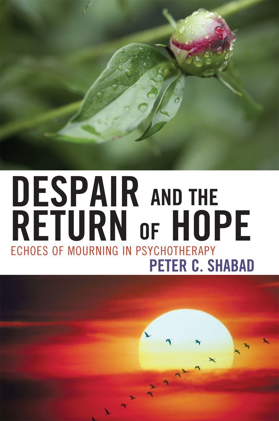 Despair and the Return of Hope By Peter C. Shabad 9780765705815