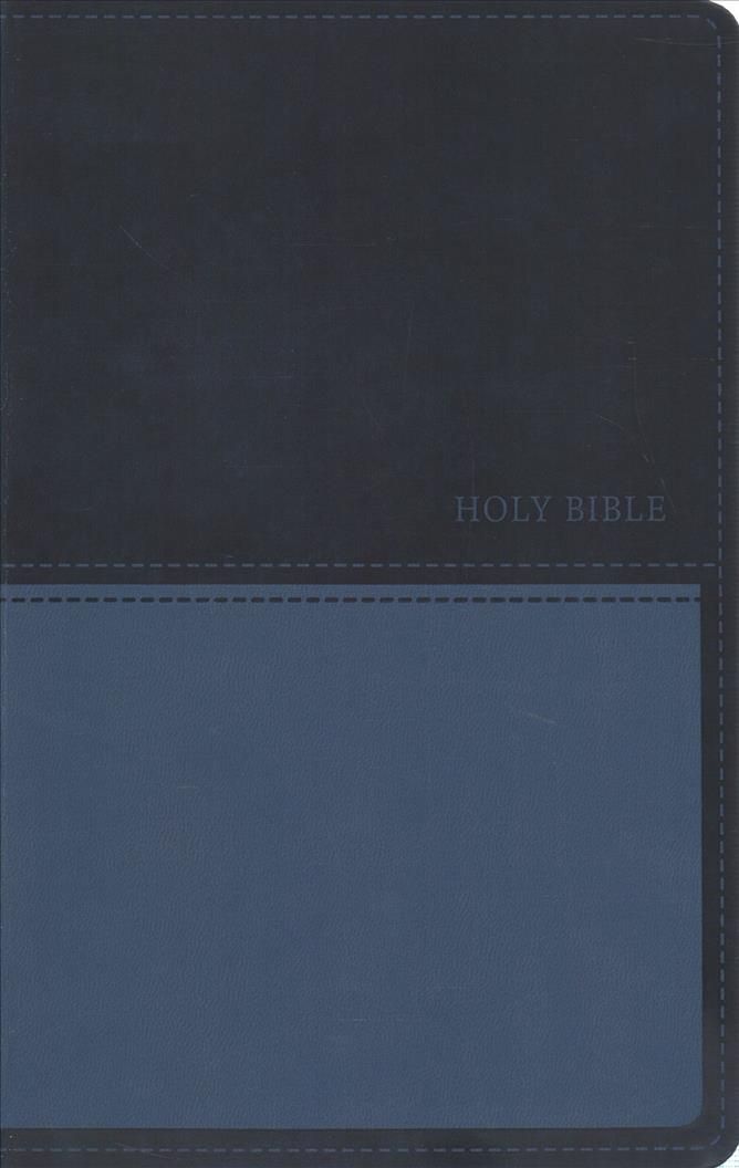 Holy Bible By Thomas Nelson 9780785225980 (Leather / fine binding)