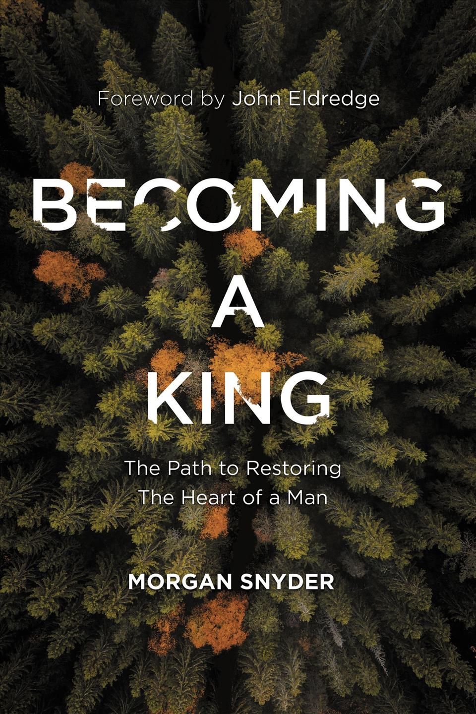 Becoming a King By Morgan Snyder 9780785231851 (Hardback)