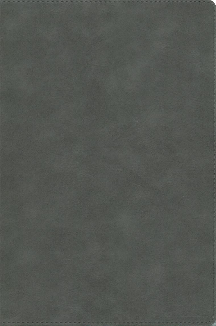 The Holy Bible By Nelson, Thomas 9780785253587