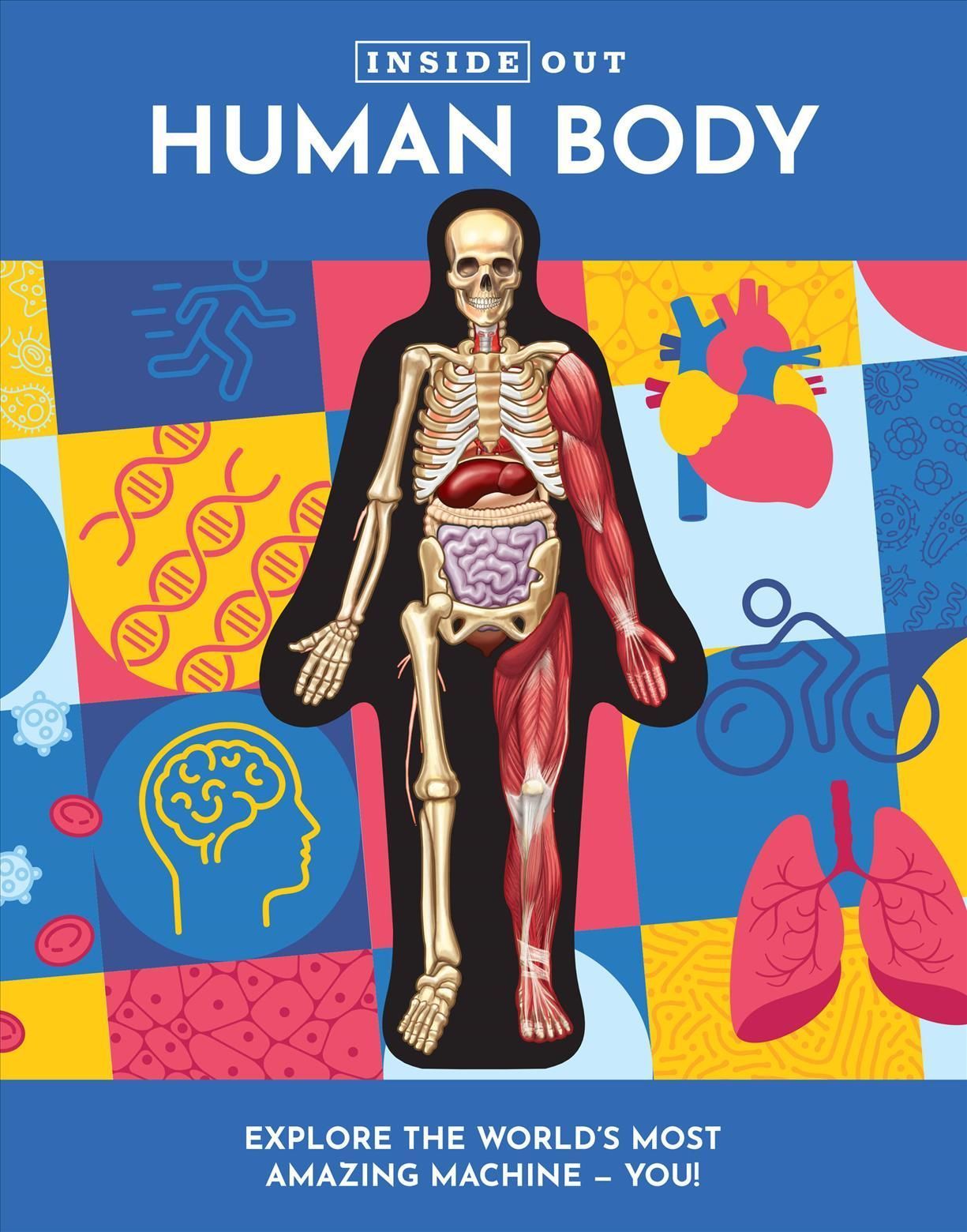 Inside Out Human Body By Luann Columbo 9780785841982 (Hardback)