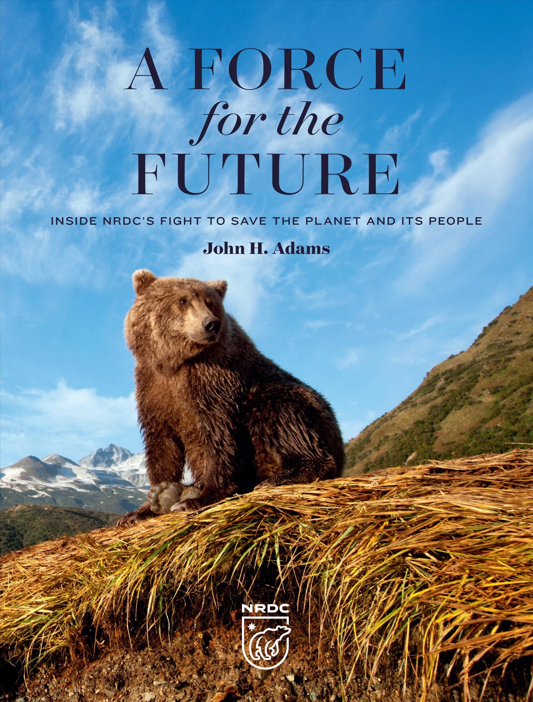 A Force for the Future 9780789213723 (Hardback)