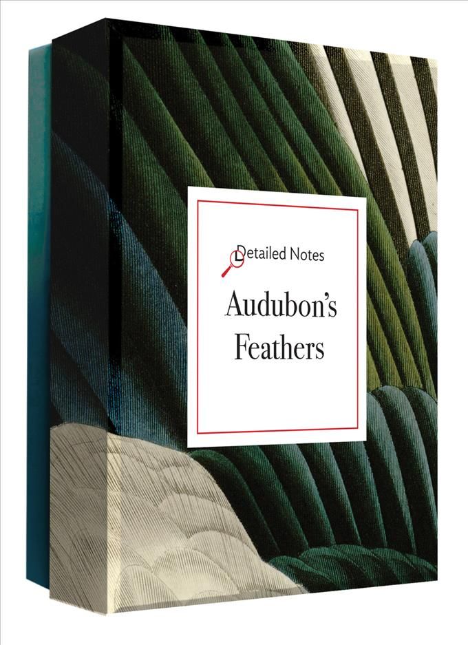 Audubon's Feathers Detailed Notecard Set By Daniel Bergez (Cards)