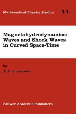 Magnetohydrodynamics By André Lichnerowicz 9780792328056 (Hardback)