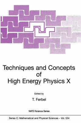 Techniques and Concepts of High Energy Physics X 9780792357308