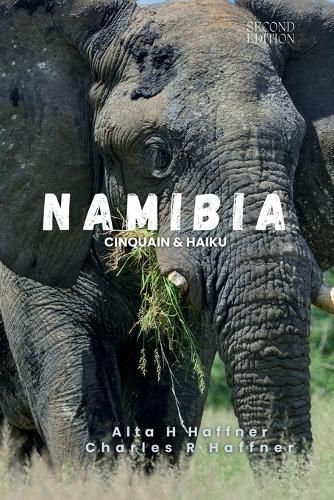 Namibia By Alta H Haffner, Charles R Haffner 9780796174413 (Paperback)