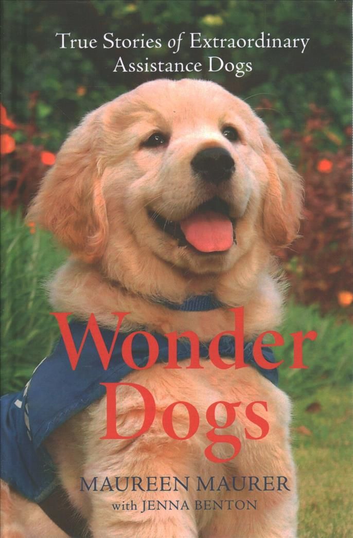 Wonder Dogs By Maureen Maurer 9780800740757 (Hardback)