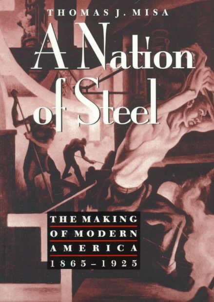 A Nation of Steel By Thomas J. Misa 9780801860522 (Paperback)