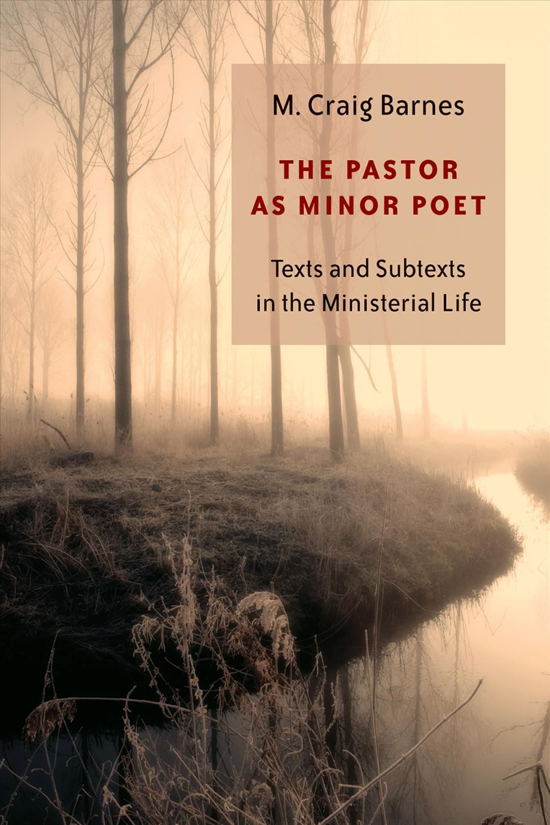 Pastor as Minor Poet By M. Craig Barnes 9780802829627 (Paperback)