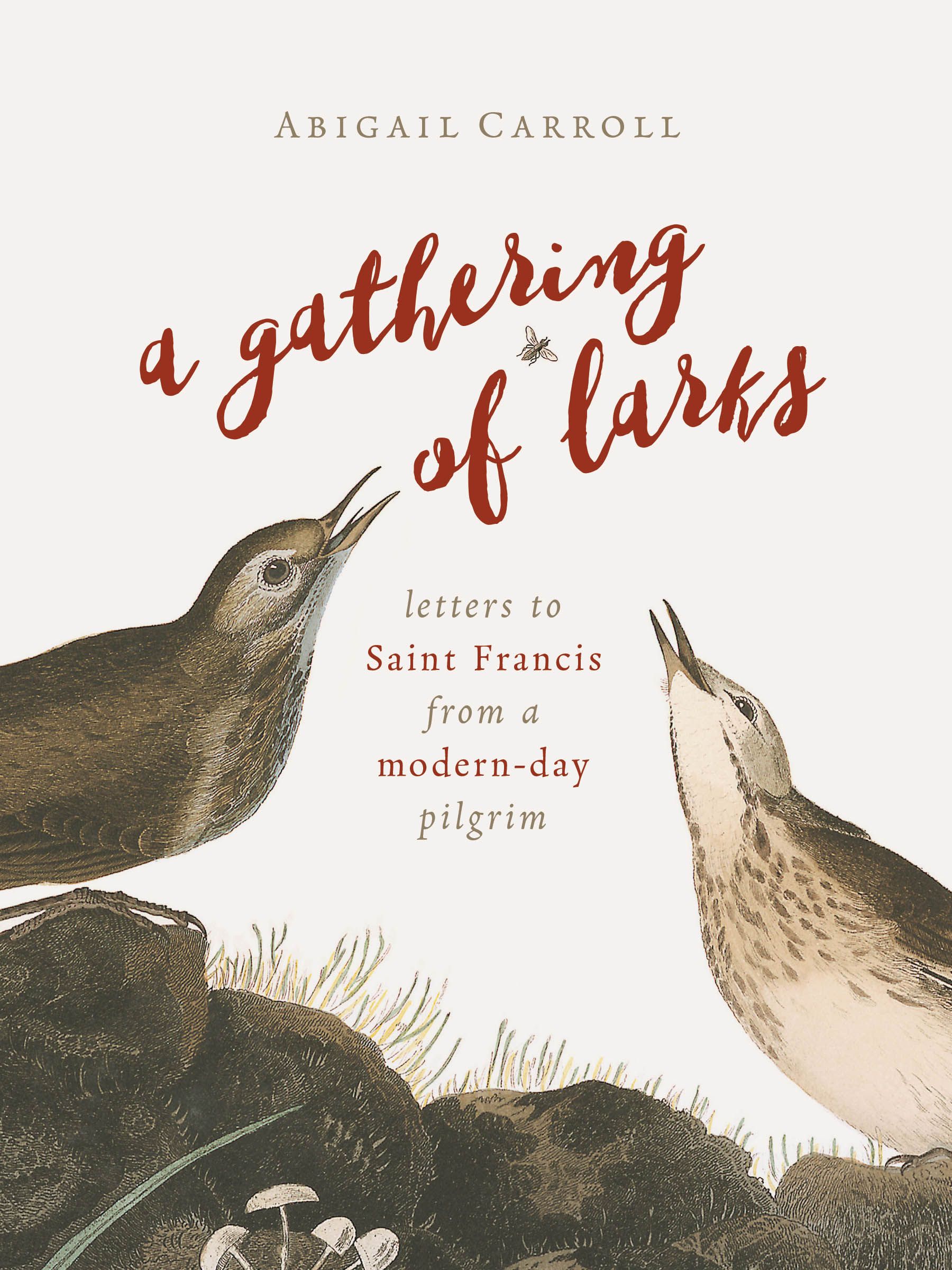 A Gathering of Larks By Abigail Carroll 9780802874450 (Paperback)