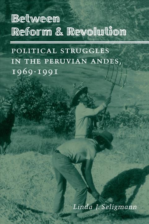 Between Reform & Revolution By Linda J. Seligmann 9780804724425