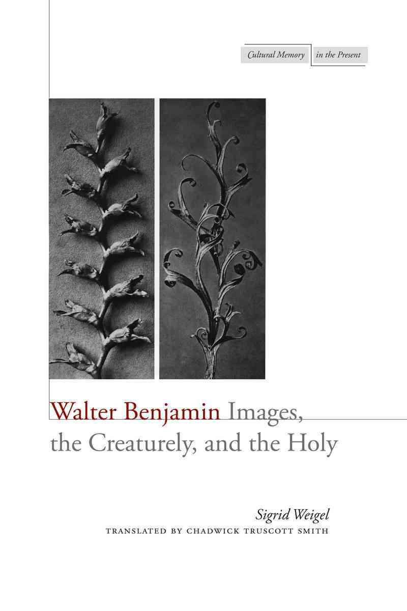 Walter Benjamin 9780804780605 (Paperback)