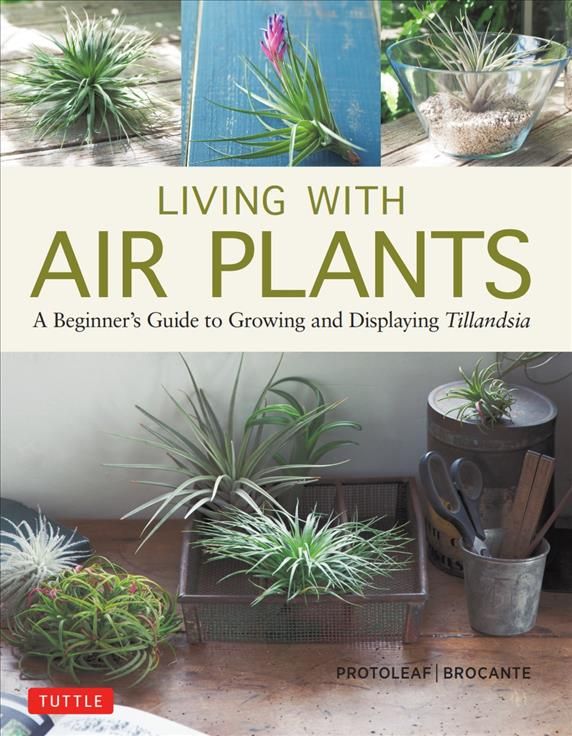 Living With Air Plants 9780804851046 (Hardback)