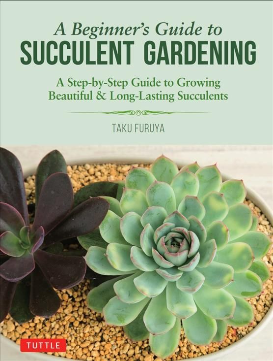 A Beginner's Guide to Succulent Gardening By Taku Furuya 9780804851190