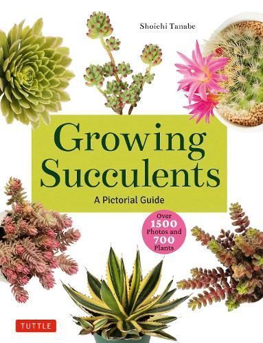 Growing Succulents By Tanabe Shoichi 9780804855532 (Paperback)