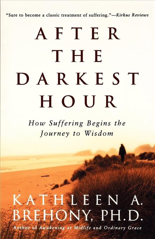 After the Darkest Hour By Kathleen a Brehony 9780805064360 (Paperback)