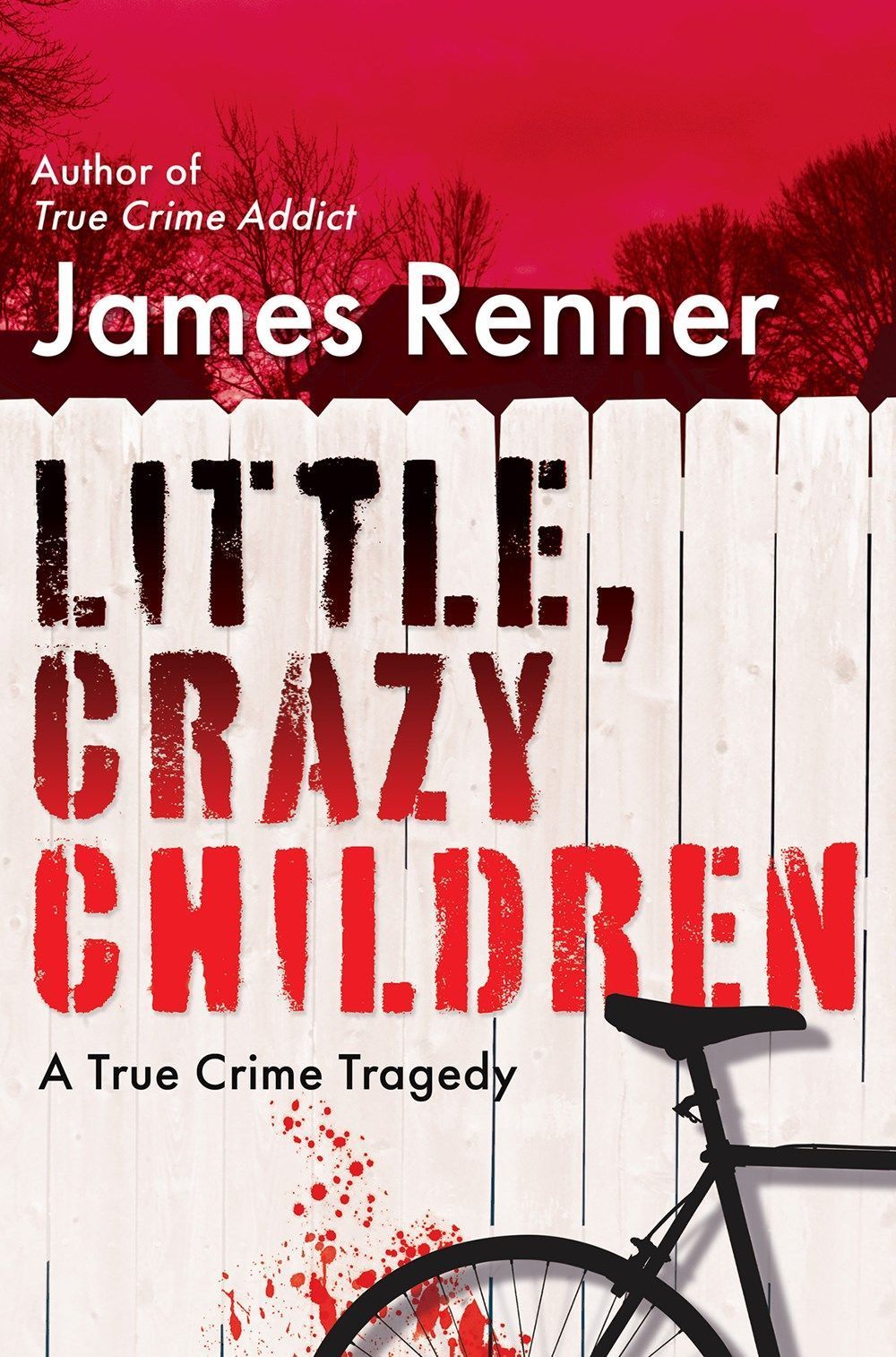 Little, Crazy Children By James Renner 9780806542553 (Hardback)