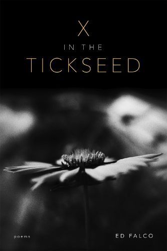 X in the Tickseed By Edward Falco 9780807179208 (Paperback)