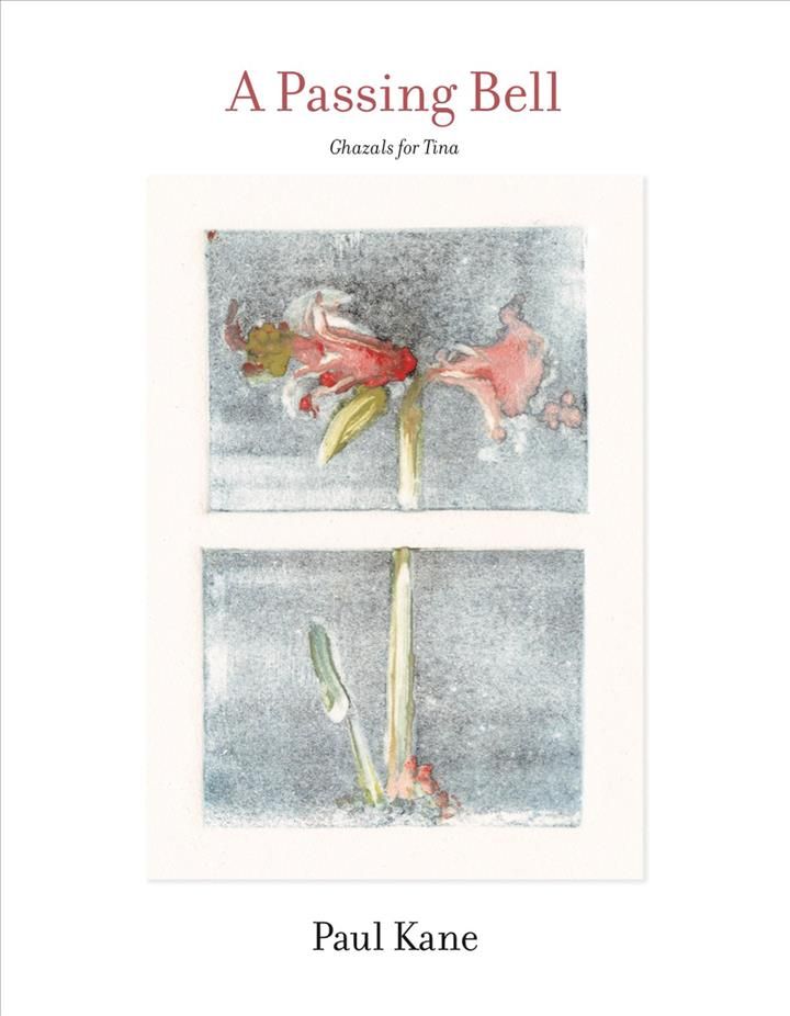 Passing Bell By Paul Kane 9780807600252 (Hardback)
