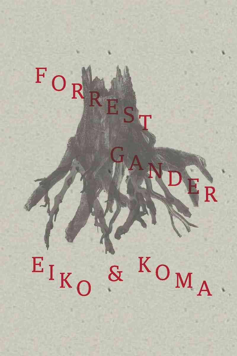 Eiko & Koma By Forrest Gander 9780811220941 (Paperback)
