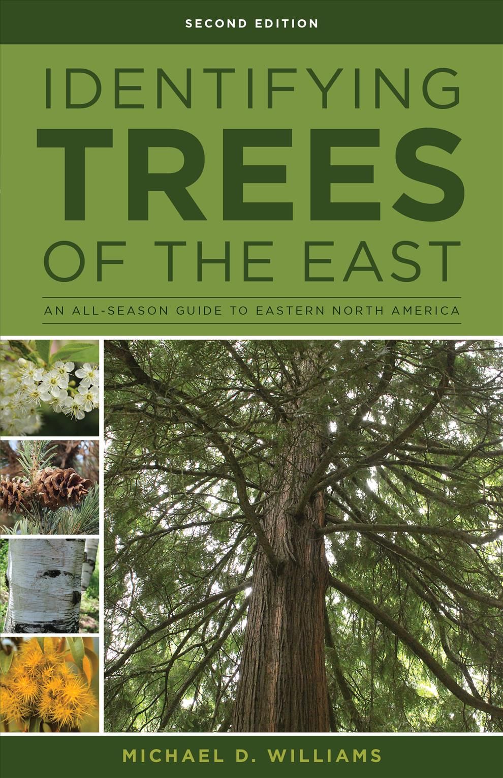 Identifying Trees of the East By Michael D. Williams 9780811718301