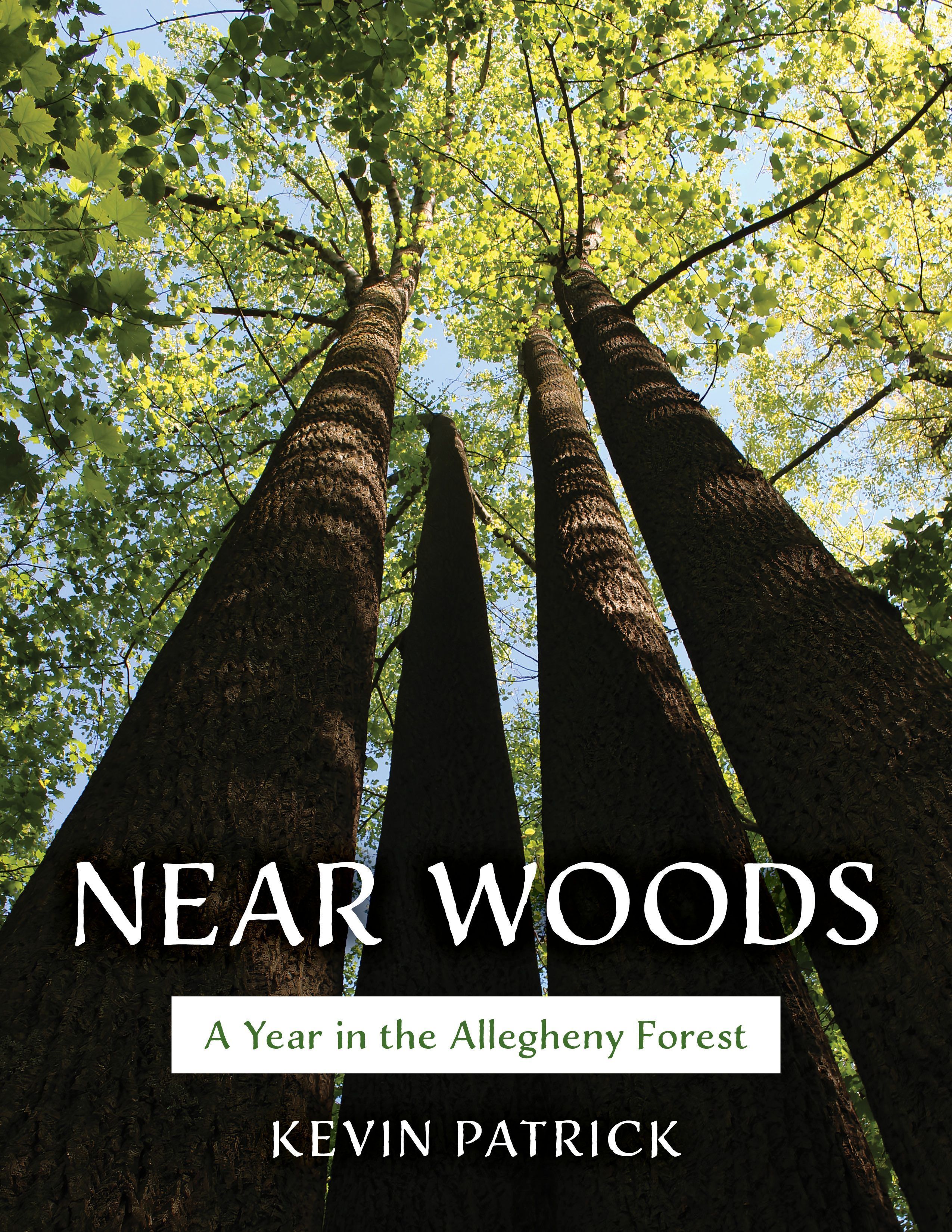 Near Woods By Kevin Patrick 9780811772211 (Paperback)