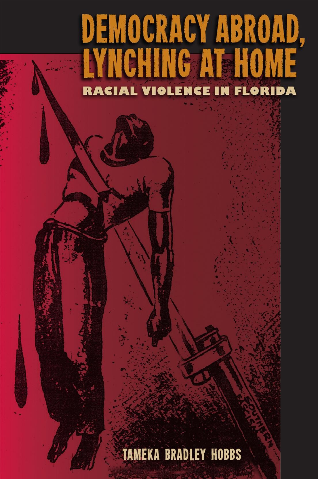 Democracy Abroad, Lynching at Home By Tameka B. Hobbs 9780813062396