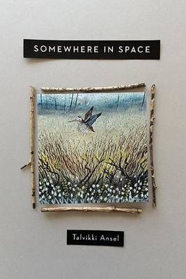 Somewhere in Space By Ansel, Talvikki 9780814252246 (Paperback)