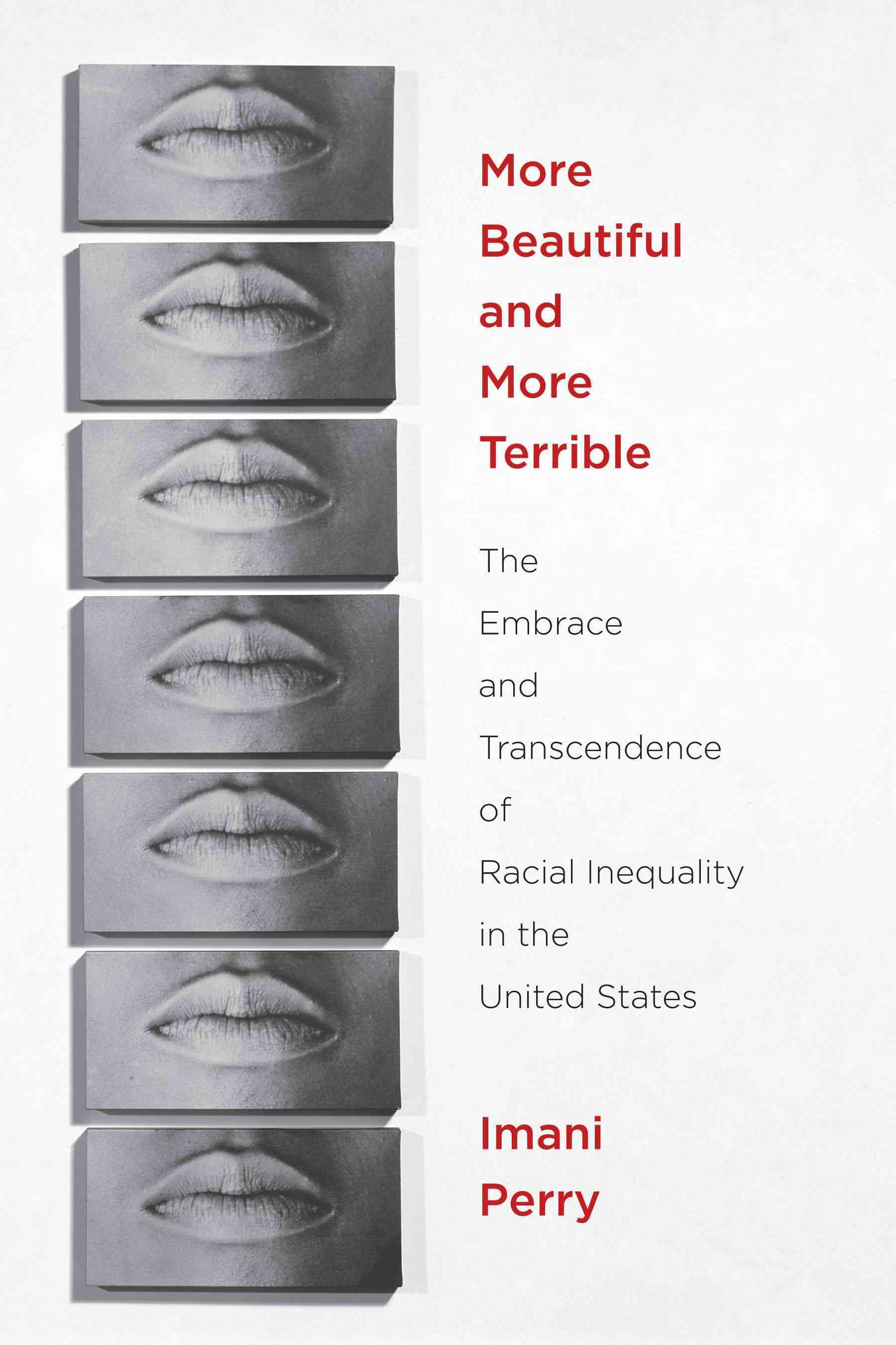 More Beautiful and More Terrible By Imani Perry 9780814767375