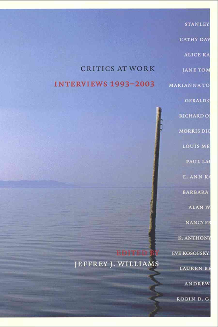 Critics at Work By Jeffrey Williams 9780814793893 (Hardback)