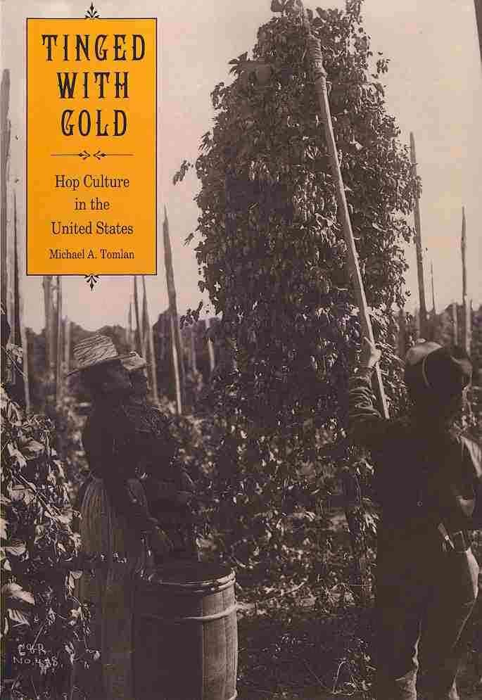 Tinged With Gold By Michael A. Tomlan 9780820346748 (Paperback)
