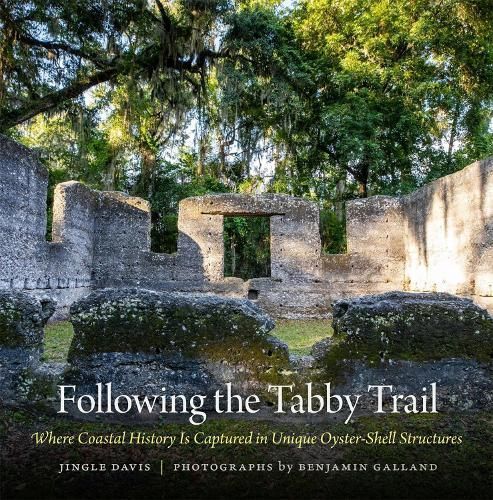 Following the Tabby Trail 9780820357492 (Hardback)