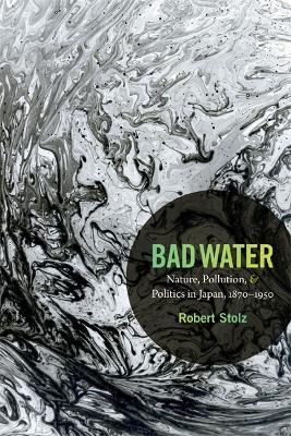 Bad Water By Robert Stolz 9780822356905 (Hardback)